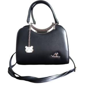 ladies bag