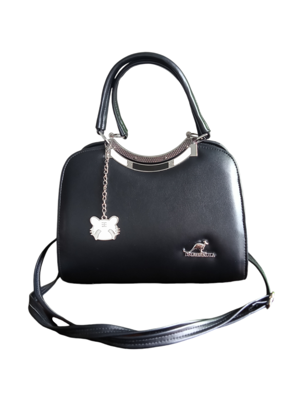 ladies bag